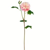 Vickerman 24" Artificial Pink Dahlia Stem (3 pack)