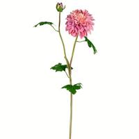Vickerman 24" Artificial Purple Dahlia Stem (3 pack)