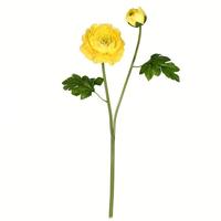 View 19" Artificial Yellow Ranunculus Stem (6 pack)