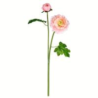 Vickerman 19" Artificial Light Pink Ranunculus Stem (6 pack)