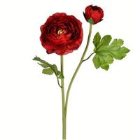 Vickerman 19" Artificial Red Ranunculus Stem (6 pack)