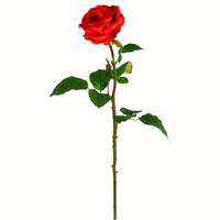Vickerman 26" Artificial Red Rose Stem (6 pack)