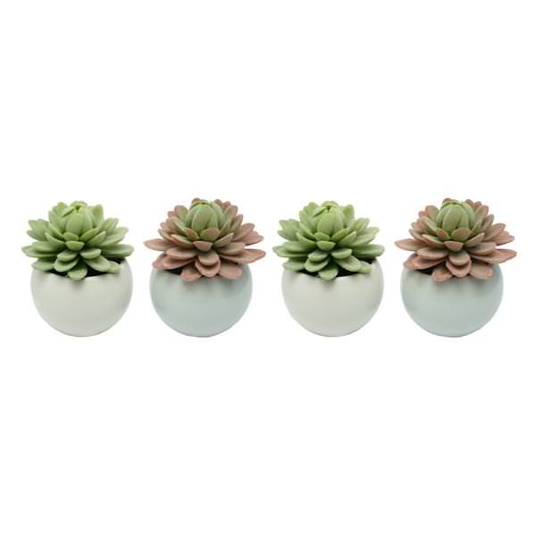 3.5" Artificial Assorted Succulents (4 pack)