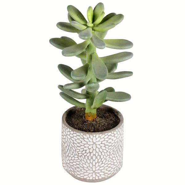 11" Artificial Green Succulent in Container