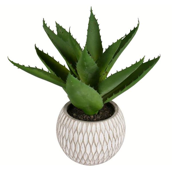 11" Artificial Green Succulent in Container