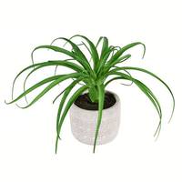 Vickerman 8" Artificial Green Succulent in Container (2 pack)