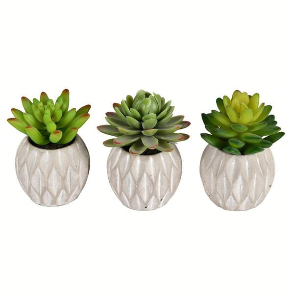 3.5" Artificial Assorted Succulents (Set of 3)
