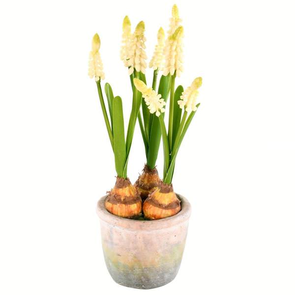 10" Artificial Green Succulent in Container (2 pack)