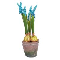 Vickerman 10" Artificial Blue Hyacinths in Container (2 pack)