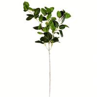 Vickerman 24" Artificial Mint Leaves Spray (3 pack)