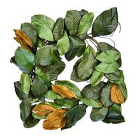 Vickerman 30" Artificial Green Magnolia Wreath