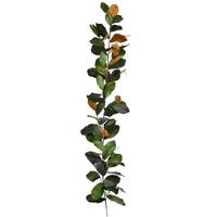 Vickerman 6' Artificial Green Magnolia Garland
