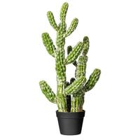 Vickerman 31" Artificial Green Potted Cactus