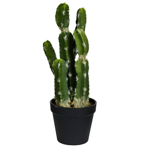 14" Artificial Green Potted Cactus
