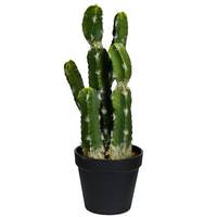 Vickerman 14" Artificial Green Potted Cactus