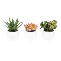 Vickerman 5" Artificial Assorted Potted Succulents (Set of 3)