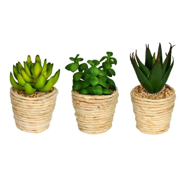 5" Artificial Assorted Twine Potted Succulents (Set of 3)