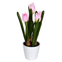 Vickerman 10" Artificial Pink Tulips in White Pot (2 pack)