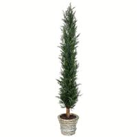 Vickerman 60" Potted Artificial Cedar Tree