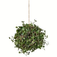 Vickerman 8" Artificial Angel Vine Ball