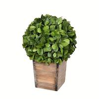Vickerman 11" Artificial Boxwood Ball in Wood Pot