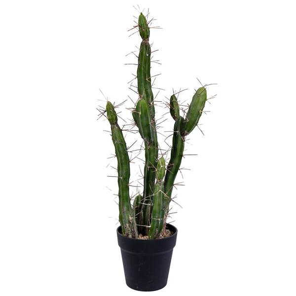 24" Artificial Green Potted Cactus