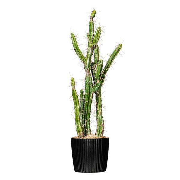34" Artificial Green Potted Cactus