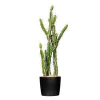 Vickerman 34" Artificial Green Potted Cactus