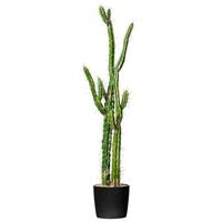Vickerman 46" Artificial Green Potted Cactus