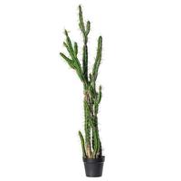 Vickerman 56" Artificial Green Potted Cactus