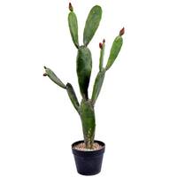 Vickerman 34" Artificial Green Potted Cactus