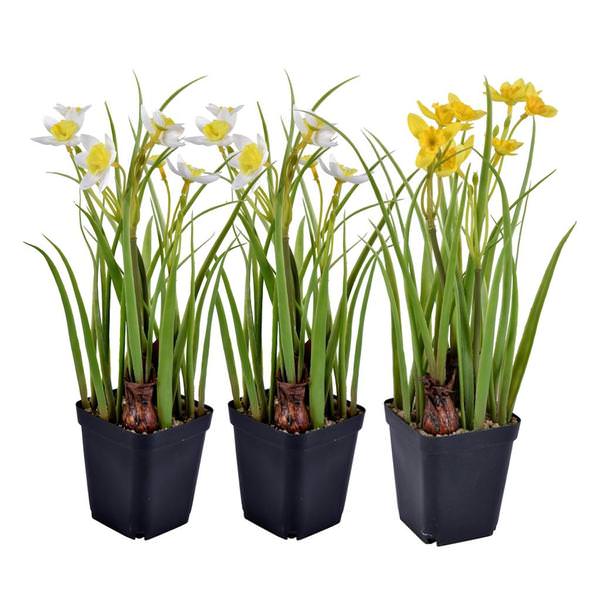 12" Artificial White, Yellow Daffodils (Set of 3)