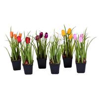 Vickerman 10" Artificial Potted Artificial Tulip Assortment (Set of 6)