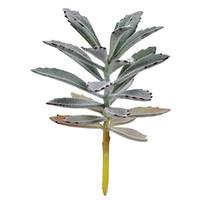 Vickerman 8" Artificial Green Succulent Pick (4 pack)
