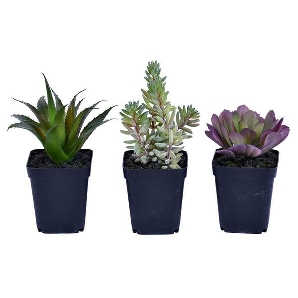 7" Artificial Green Potted Succulent (Set of 3)