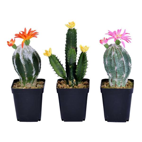 8" Artificial Green Potted Cactus (Set of 3)