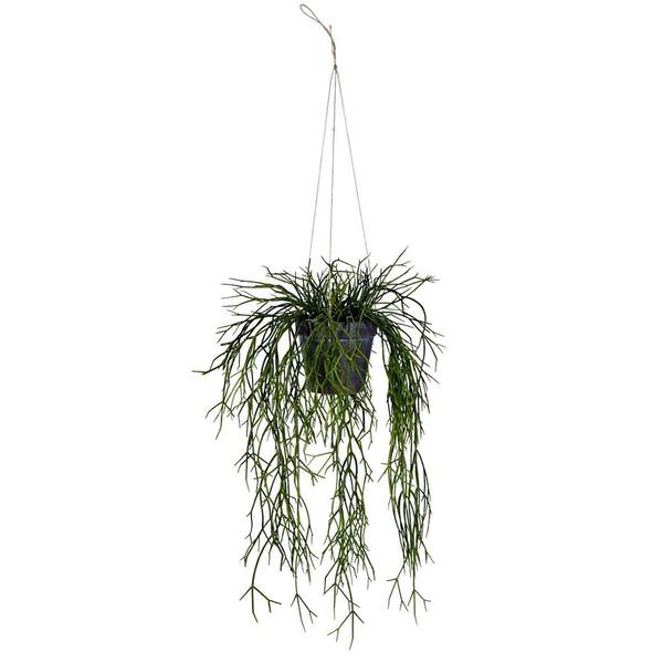 22" Artificial Green Dancing Bones Plant in Hanger
