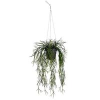 Vickerman 22" Artificial Green Dancing Bones Plant in Hanger