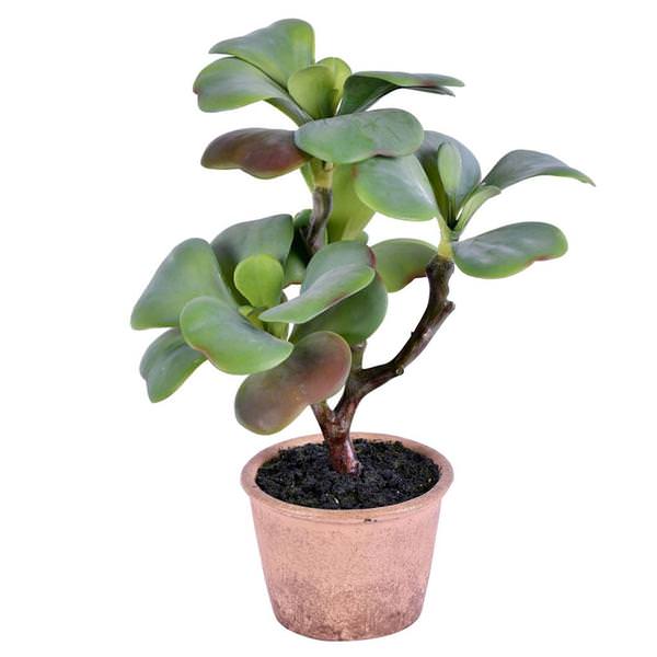 14" Artificial Potted Green Succulent