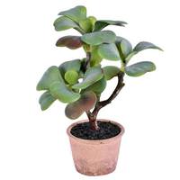 Vickerman 14" Artificial Potted Green Succulent