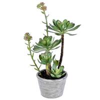 Vickerman 13.5" Artificial Green Potted Succulent