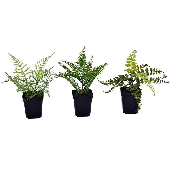10" Artificial Green Potted Fern Assortment (Set of 3)