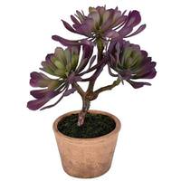 Vickerman 12" Artificial Purple / Green Potted Succulent