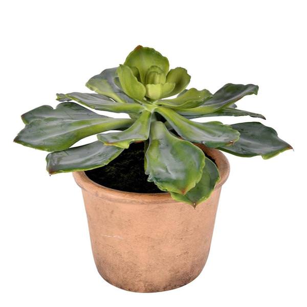 9" Artificial Potted Green Succulent