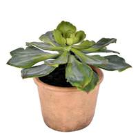Vickerman 9" Artificial Potted Green Succulent