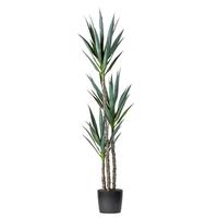 Vickerman 5' Artificial Green Potted Yucca Tree