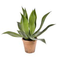 Vickerman 20" Artificial Green Potted Agave
