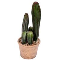 Vickerman 10.5" Artificial Green Potted Cactus