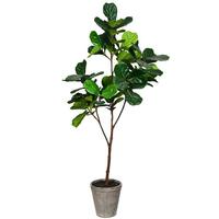 Vickerman 5' Artificial Green Potted Fiddle Tree