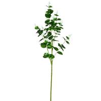 Vickerman 36" Artificial Gray Money Leaf Spray (3 pack)